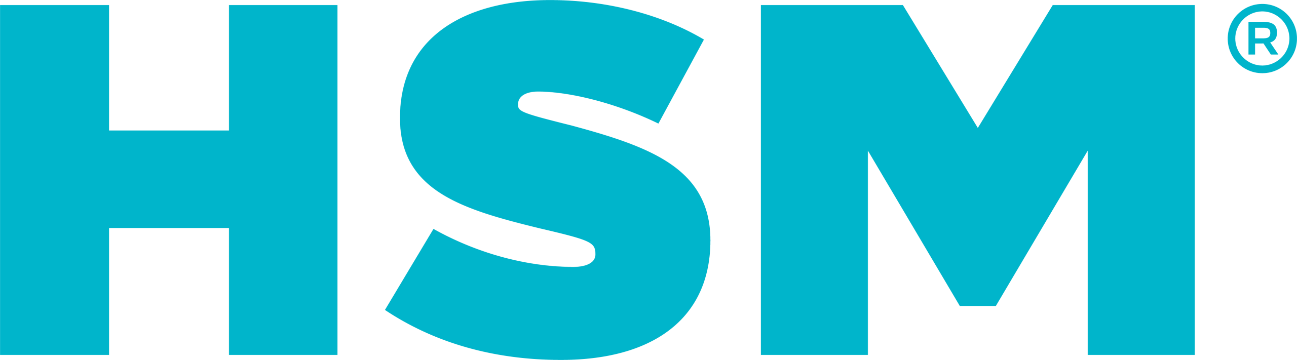 HSM